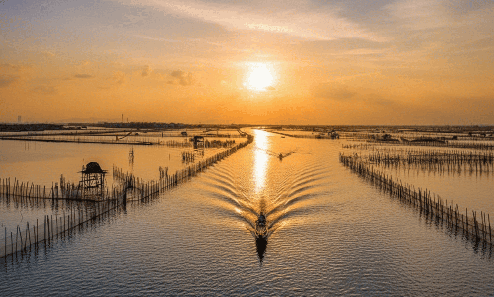 Tam Giang Lagoon is a stunning place in Hue to watch the sunrise and sunset over peaceful waters